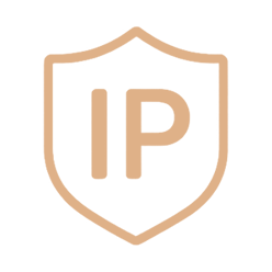 Оюуны өмчийн хамгаалал